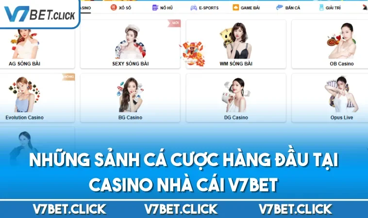 Những sảnh cá cược hàng đầu tại Casino nhà cái V7BET